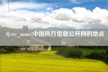 大庆中国执行信息公开网的地点