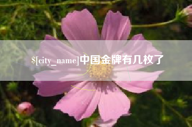 大庆中国金牌有几枚了