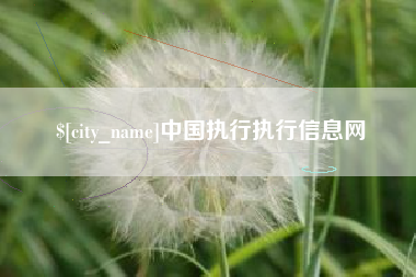 大庆中国执行执行信息网