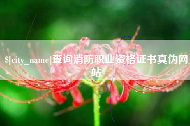 大庆查询消防职业资格证书真伪网站