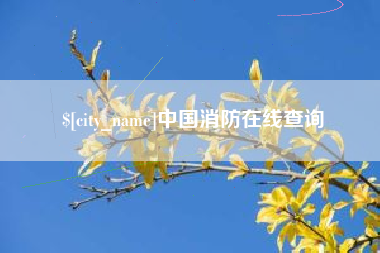 大庆中国消防在线查询