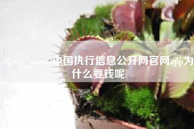 大庆中国执行信息公开网官网app为什么要钱呢