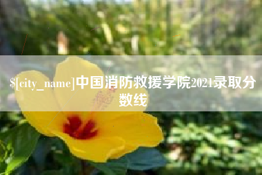 大庆中国消防救援学院2021录取分数线