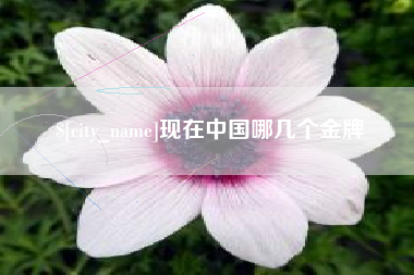 大庆现在中国哪几个金牌