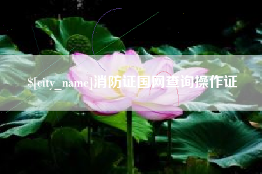 大庆消防证国网查询操作证