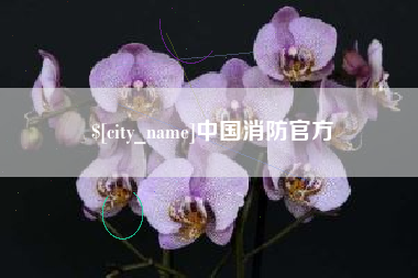 大庆中国消防官方