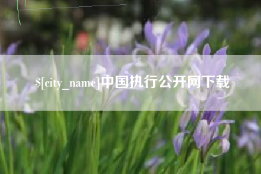 大庆中国执行公开网下载