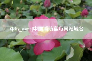 大庆中国消防官方网站域名