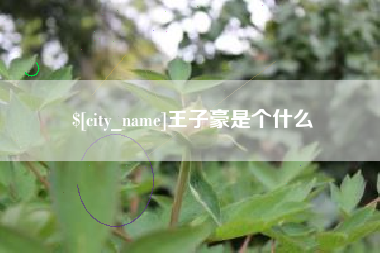 大庆王子豪是个什么
