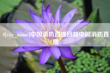 大庆中国消防直播回放中国消防直播