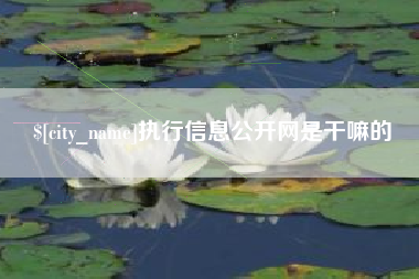 大庆执行信息公开网是干嘛的