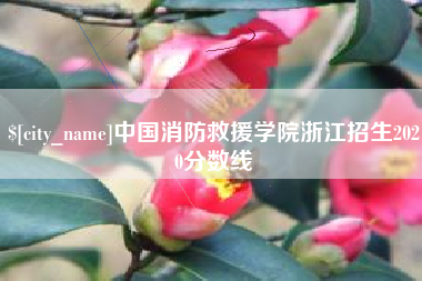 大庆中国消防救援学院浙江招生2020分数线