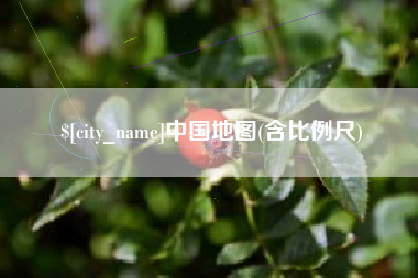 大庆中国地图(含比例尺)