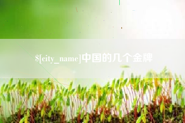 大庆中国的几个金牌