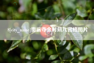 大庆奥运夺金时刻九宫格图片