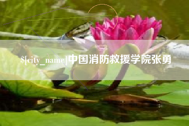 大庆中国消防救援学院张勇