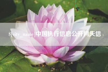 大庆中国执行信息公开网失信