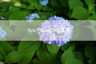 大庆2022九宫