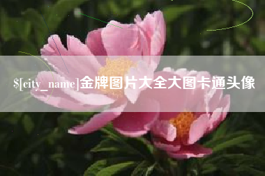 大庆金牌图片大全大图卡通头像