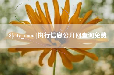 大庆执行信息公开网查询免费