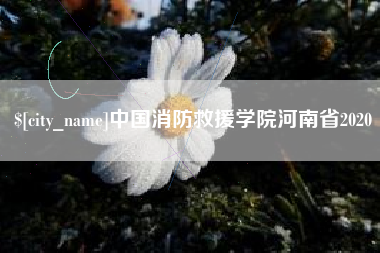 大庆中国消防救援学院河南省2020